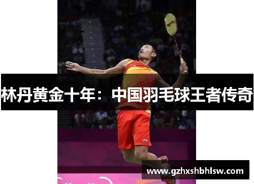 林丹黄金十年：中国羽毛球王者传奇
